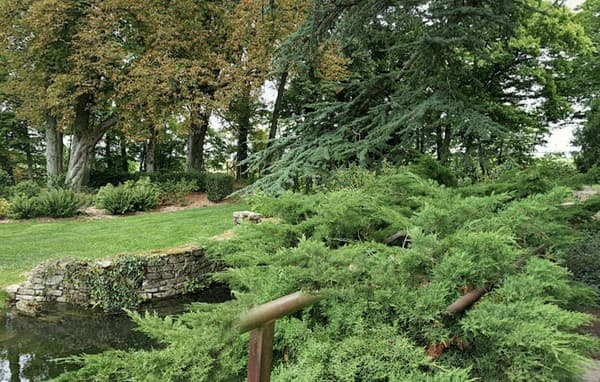 Parc Floral de La Source