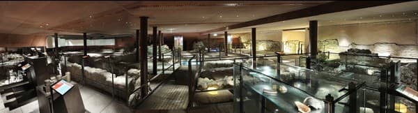 Musée de l'Ancien Éveche