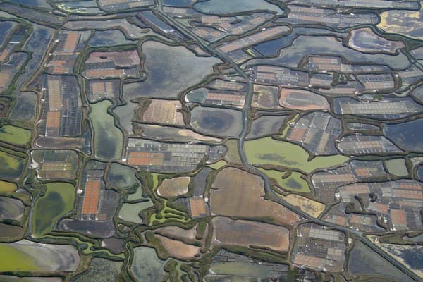 Marais Salants de Guérande