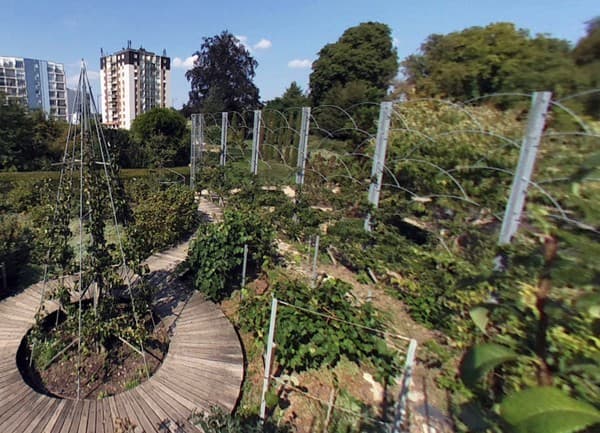 Jardin des Plantes Orléans