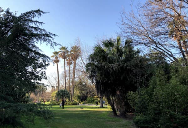 Parc Olbius-Riquier