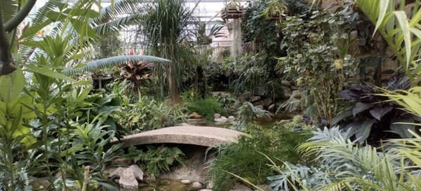 Jardin des Plantes