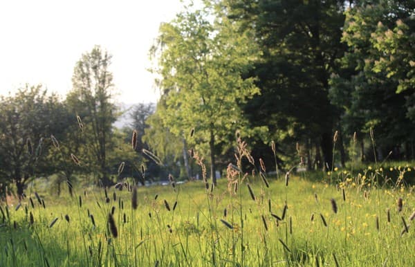 Arboretum de Lisieux