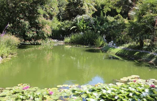 Les jardins de Louanne