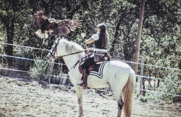 Parc Animalier Domestique